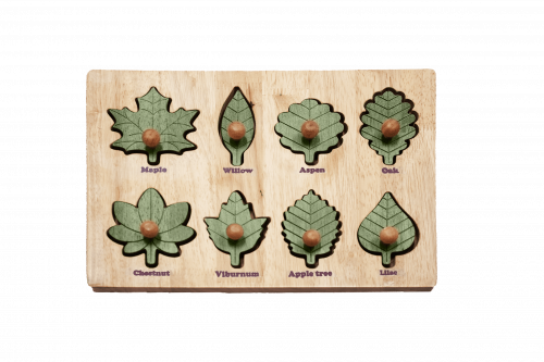 Leaf Puzzle