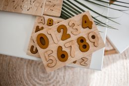 wooden number puzzle kids