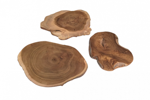 WOOD SCAPE SLICES