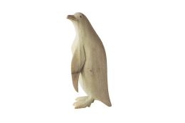 natural penguin