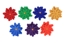 Rainbow-Aster-Flowers