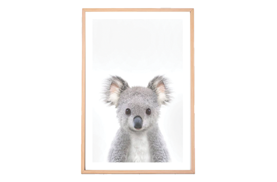 koala_kids_print_A3