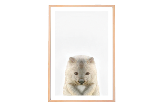 Baby Wombat Framed Print