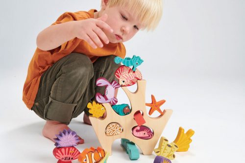 Stacking Coral Reef