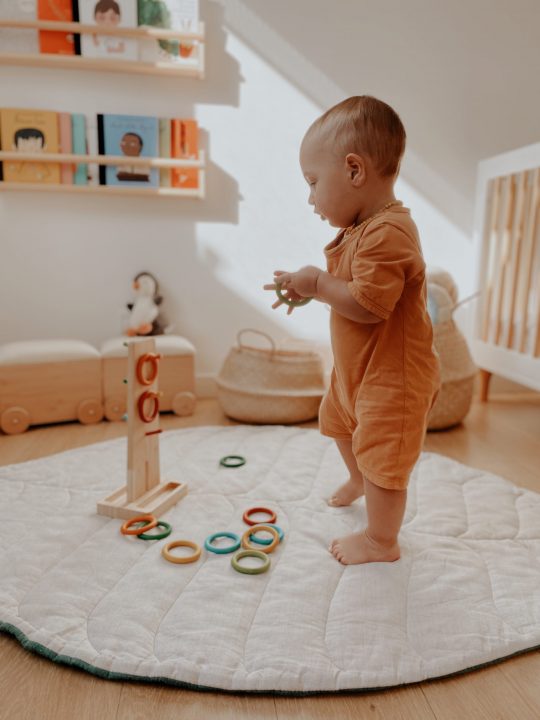 Sorting Ring Toss