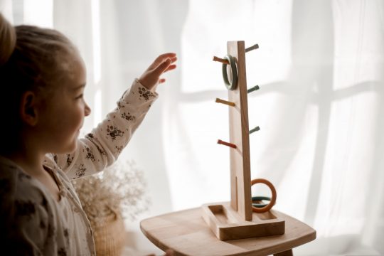 Sorting Ring Toss