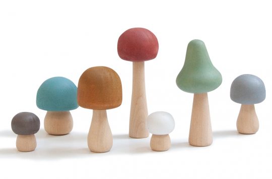 earth wooden mushrooms