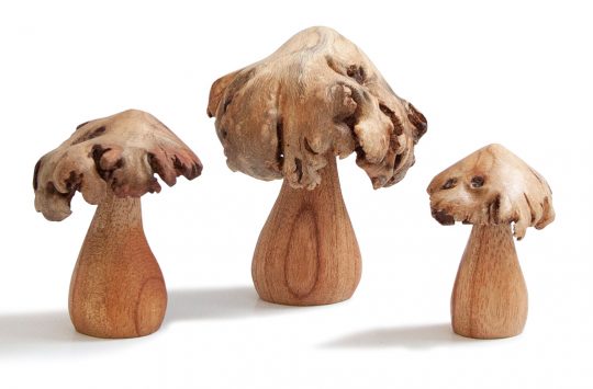 carved wood rose mushrooms