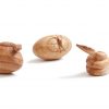 Wooden Snake Life Cycle 3pc