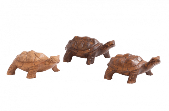wooden turtles