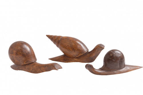wooden carved snail et