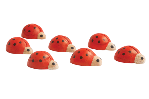 Red and Black Ladybirds 7pcs