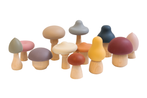 Silicone Mushroom Set