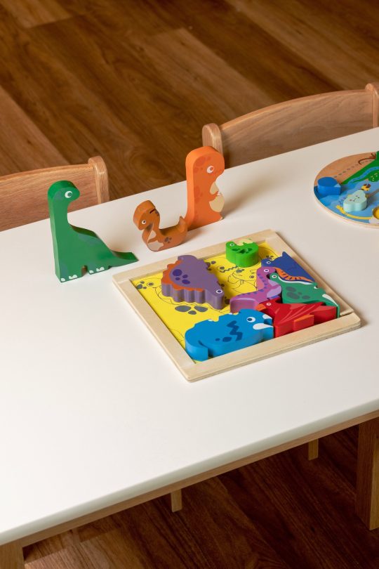 Dinosaur Chunky Puzzle