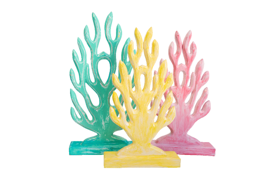 Coral Set of 3