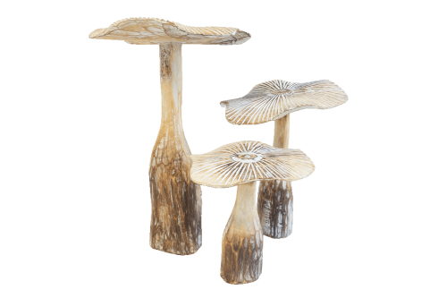 Mushrooms Set of 3