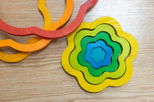 Rainbow Flowers