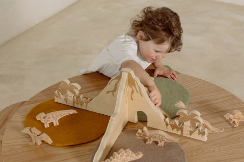 Educational Toys and Resources
