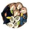 PPSE142 Shellfish Set_1_RGB_Web