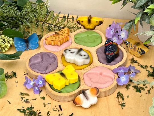 Butterfly Sensory Play Stones 8pc 2