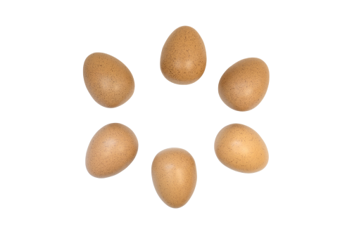 YD1087_SENSORY SOUND EGGS 6PC_WEB