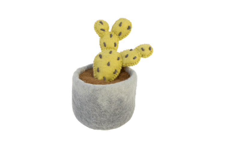 Felt Cactus Plant
