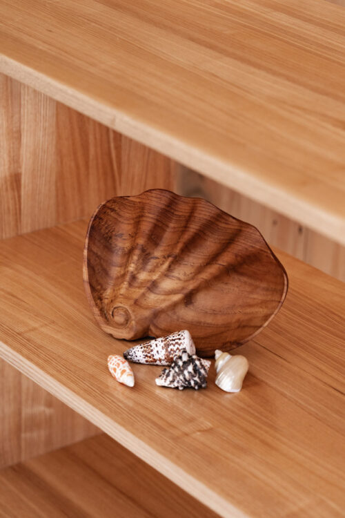 Shells & Sponge Set