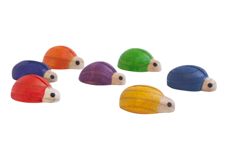 Ladybirds Rainbow 7pc