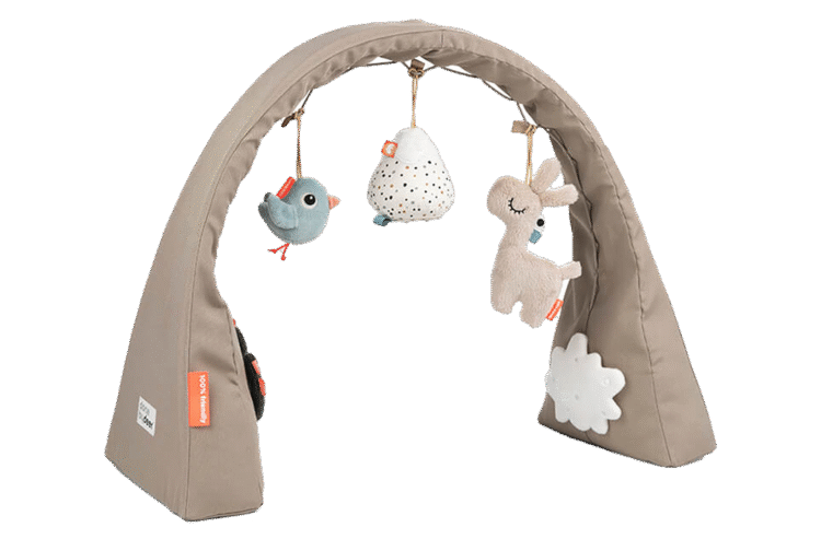 Lalee Sand Activity Gym