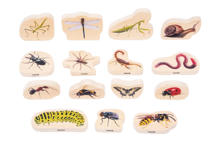 Wooden Reptile & Amphibian Blocks