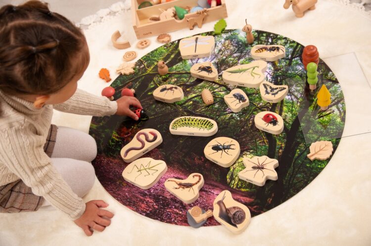 Wooden Reptile & Amphibian Blocks