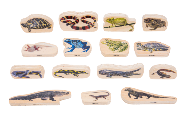 Wooden Minibeast Blocks