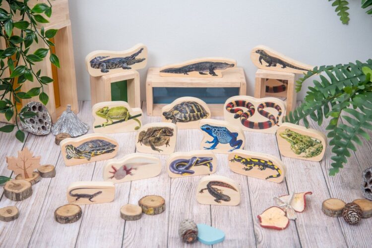 Wooden Minibeast Blocks