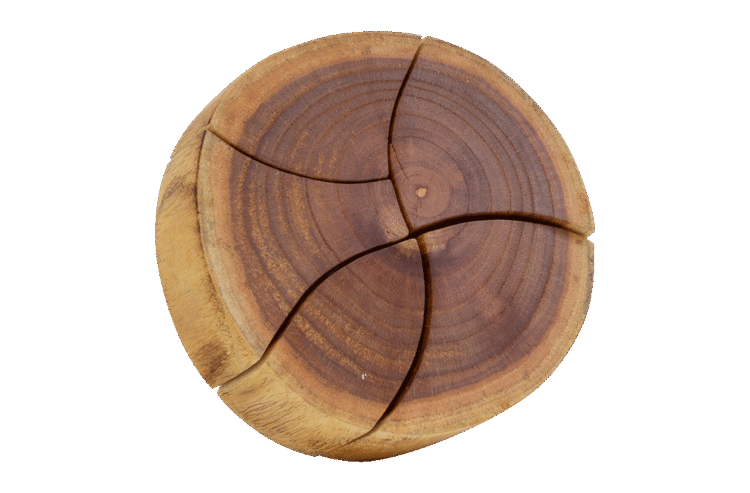 Wooden Trunk Puzzle 5pc
