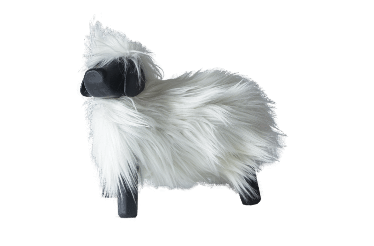 Suffolk Sheep