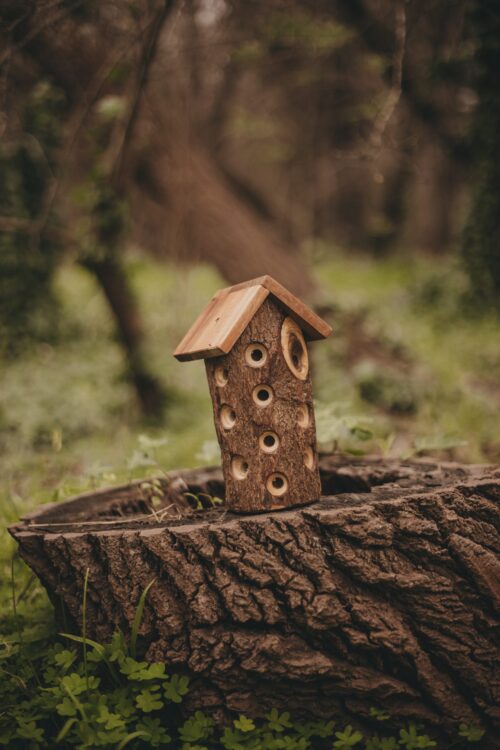 Lady Bug House