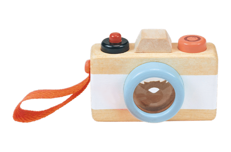 Wooden Camera