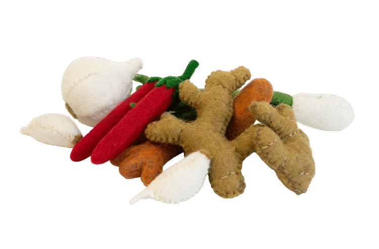 Felt Spices 10pc