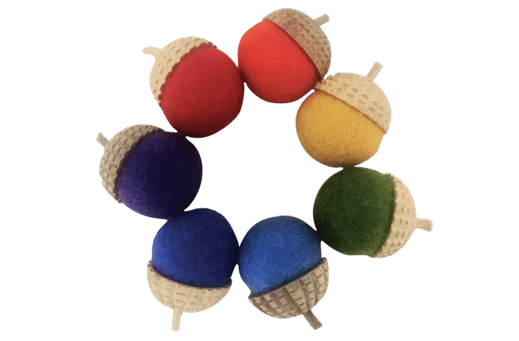 Acorns Rainbow 7pc