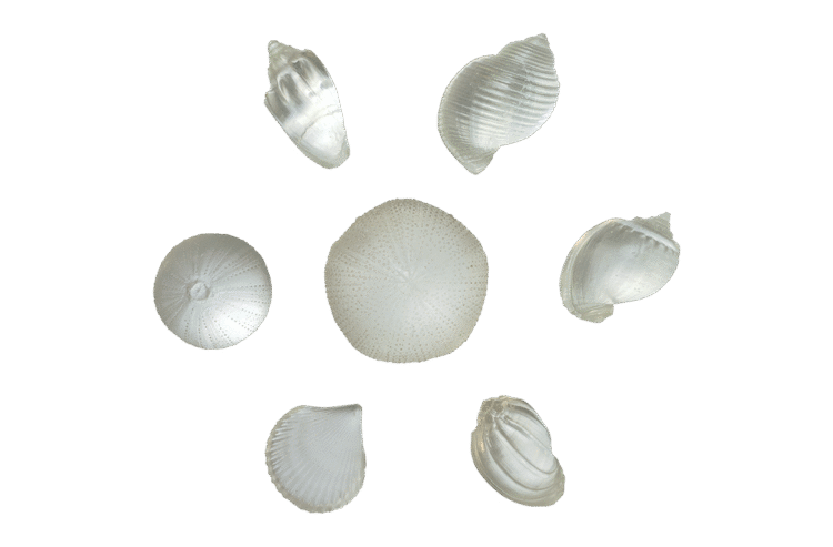 Resin Shells