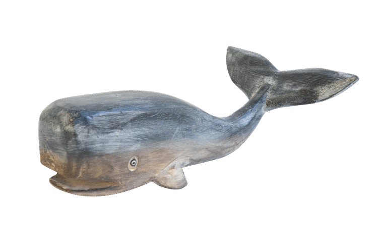 Sperm Whale