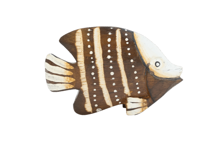 Tropical Fish