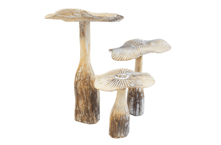 Mushrooms 3pc