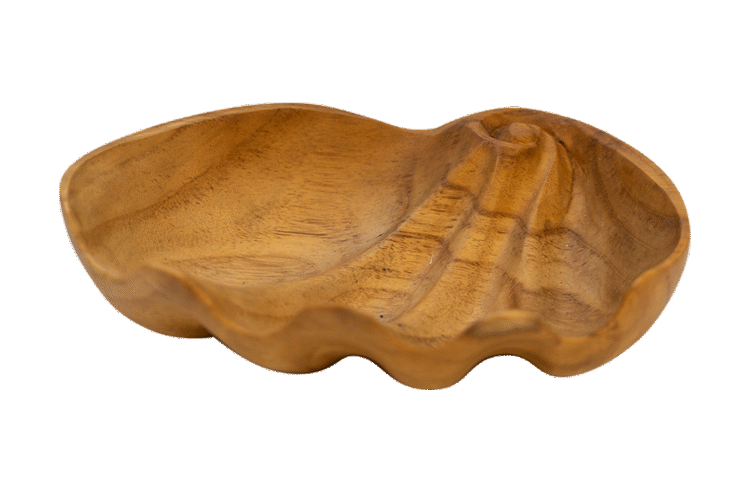 Shell Bowl