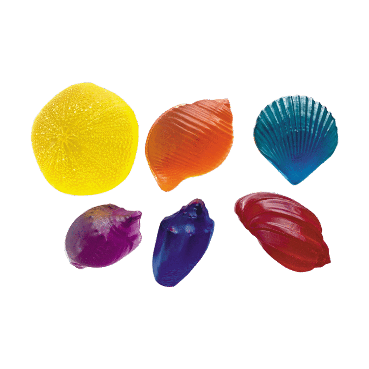 Shells 6pc