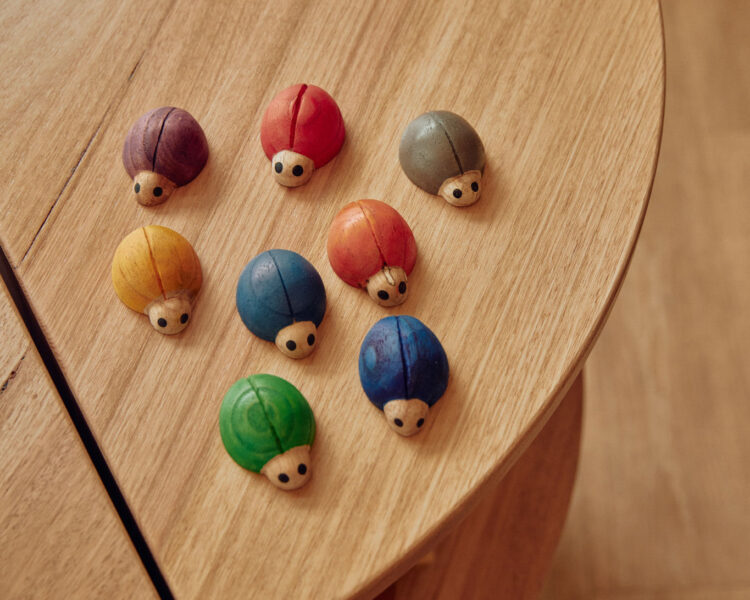 Ladybirds Rainbow 7pc