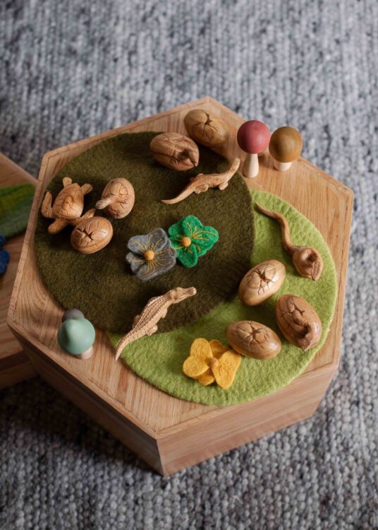 Wooden Snake Life Cycle 3pc