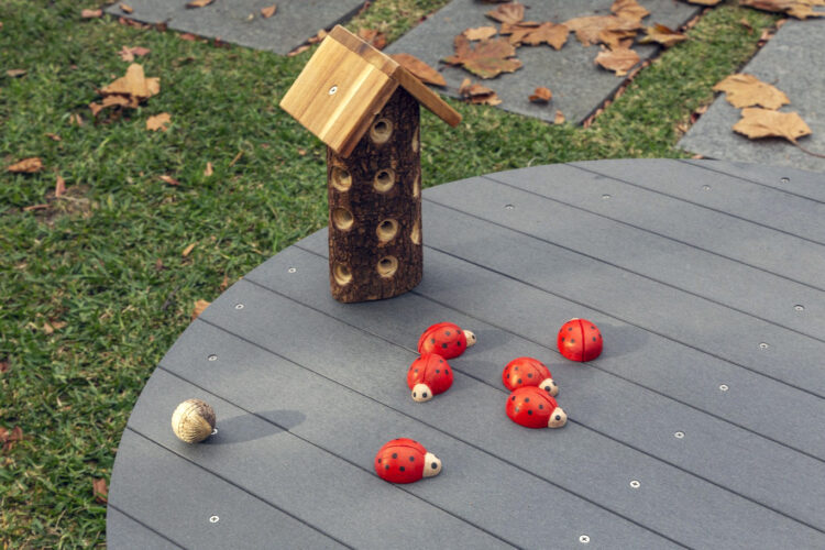 Ladybirds Red & Black 7pc
