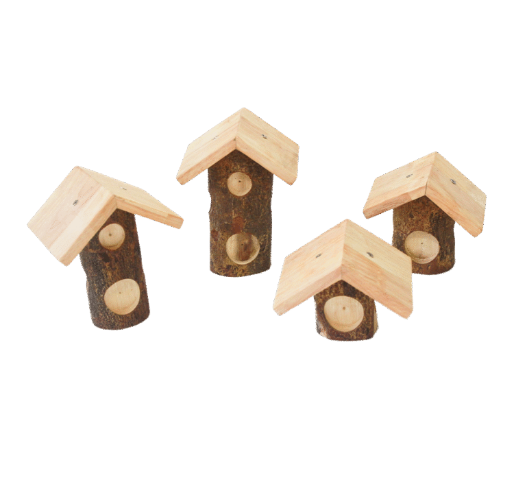 Tree Log House