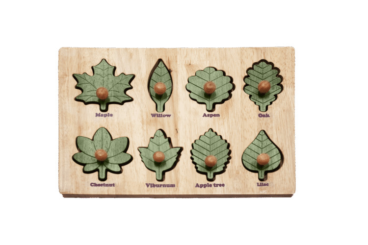 Leaf Puzzle